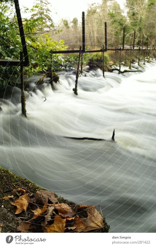 cong river Brücke Umwelt Fluss fließen kaputt Langzeitbelichtung Blatt Herbstlaub Farbfoto Außenaufnahme Experiment Textfreiraum rechts Bewegungsunschärfe