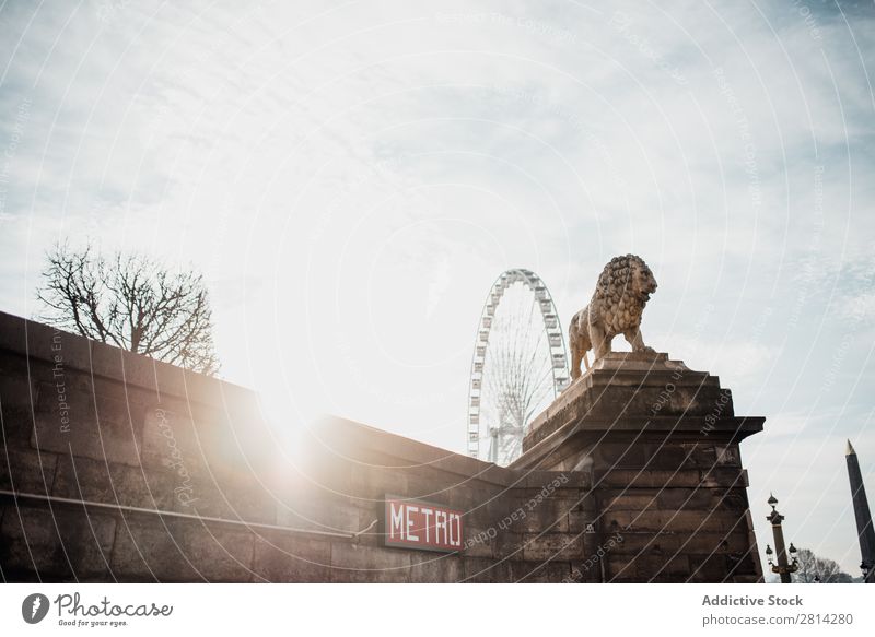 Seitenansicht der Löwenskulptur Statue Architektur Skulptur Paris Franzosen Kunst Stein Frankreich Europa antik schön Skyline Lümmel Stadt lev Kultur Aussicht