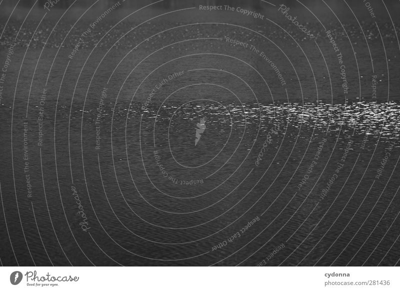 Stille Wasser sind tief Umwelt Natur See ästhetisch Bewegung Einsamkeit einzigartig entdecken erleben Ewigkeit Gefühle geheimnisvoll komplex Leben ruhig schön