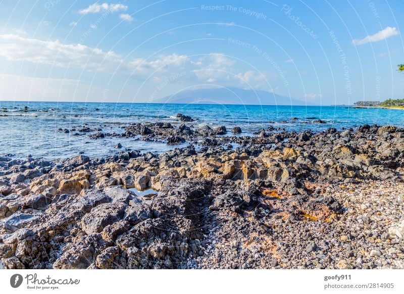 Steinige Küste Maui Ferien & Urlaub & Reisen Tourismus Ausflug Abenteuer Ferne Freiheit Strand Meer Insel Wellen Natur Landschaft Erde Wasser Himmel Horizont