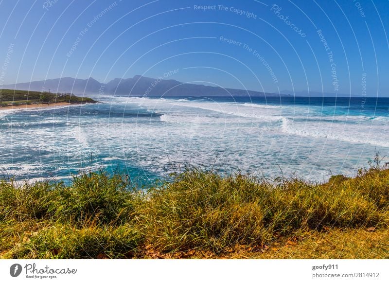 Ho'okipa Beach Maui Ferien & Urlaub & Reisen Tourismus Ausflug Abenteuer Ferne Freiheit Sommer Strand Meer Insel Wellen Natur Landschaft Wasser Himmel