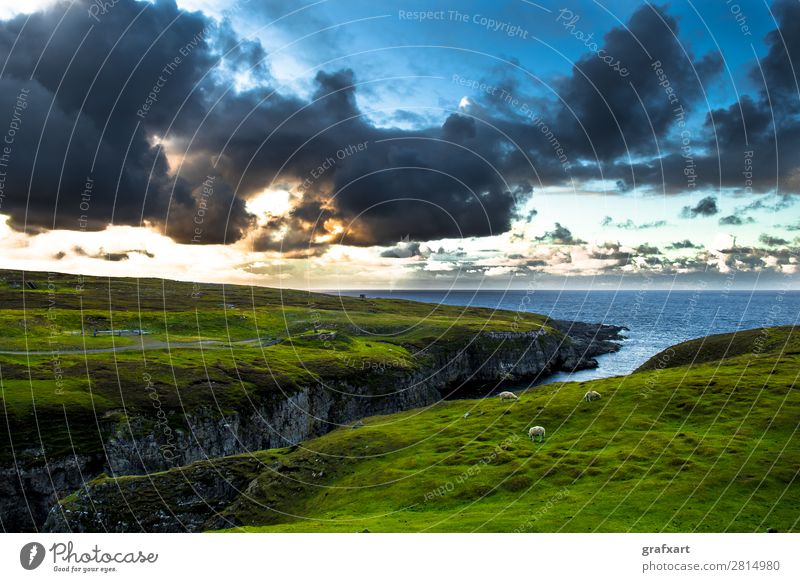 Schlucht zur Smoo Cave mit Schafherde bei Durness in Schottland Atlantik Aussicht Dämmerung durness Fluss Großbritannien Herde Highlands Klippe Küste Landschaft