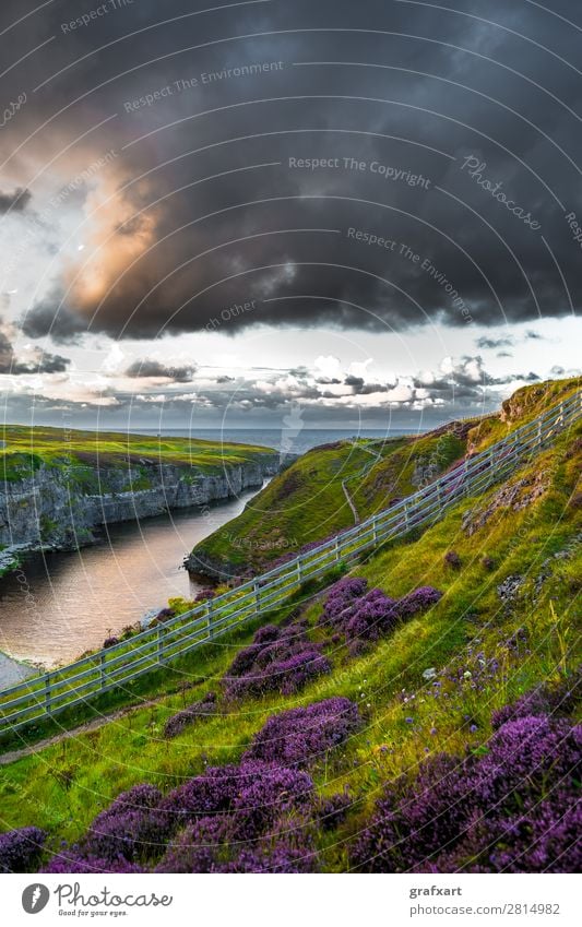 Tal zur Smoo Cave am Atlantik bei Durness in Schottland Aussicht Blume bonnie prince charles Schlucht Fluss Großbritannien Heidekrautgewächse Highlands Höhle