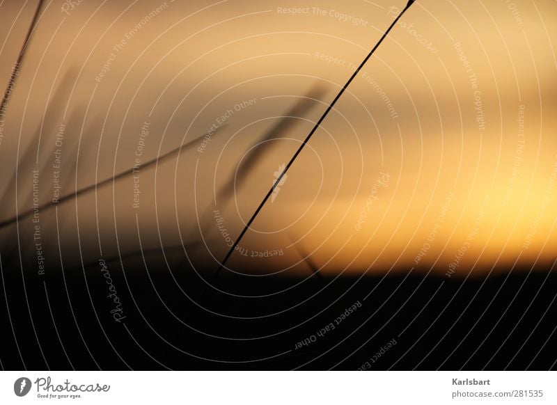 / Design harmonisch Wohlgefühl Zufriedenheit Sinnesorgane Erholung ruhig Meditation Kur Ferien & Urlaub & Reisen Ausflug Abenteuer Ferne Freiheit Natur Pflanze