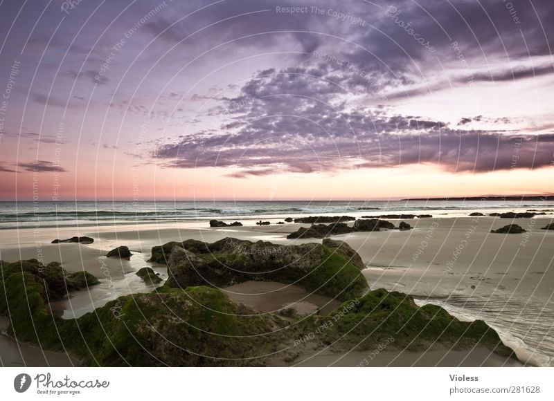 noch einmal träumen Natur Landschaft Wolken Sonnenaufgang Sonnenuntergang Sommer Schönes Wetter Küste Strand Meer Erholung Portugal Algarve Farbfoto