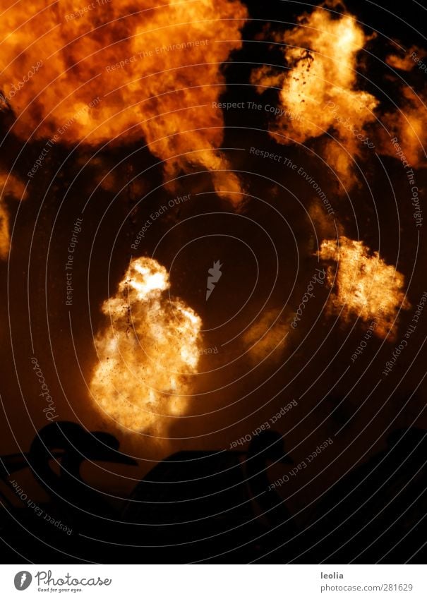 Weltuntergang? NEIN DANKE! Kunst Kultur Urelemente Feuer dunkel schwarz Silhouette Schwan Farbfoto Gedeckte Farben Außenaufnahme Menschenleer Abend Nacht Licht
