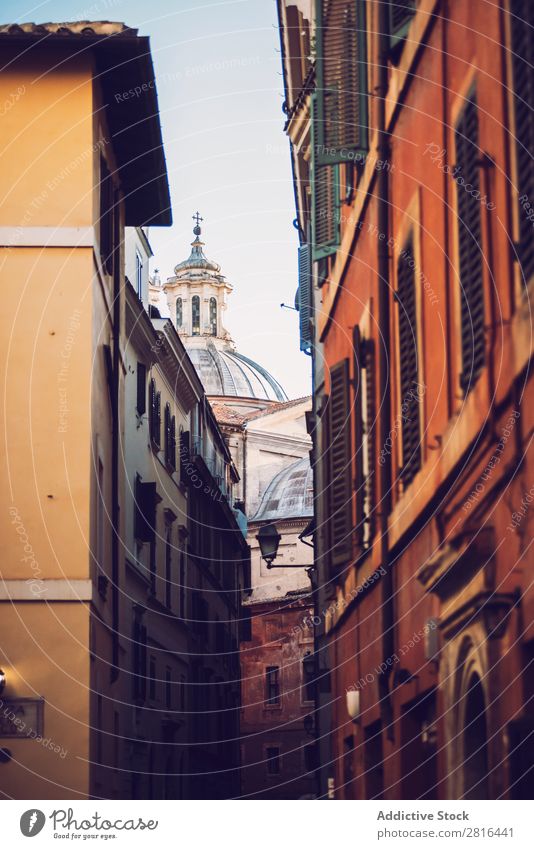 Rom, Italien. Typische architektonische Details der Altstadt Hintergrundbild alt Tür Wand gelb Baum dreckig grün Häusliches Leben braun Anwesen historisch Licht