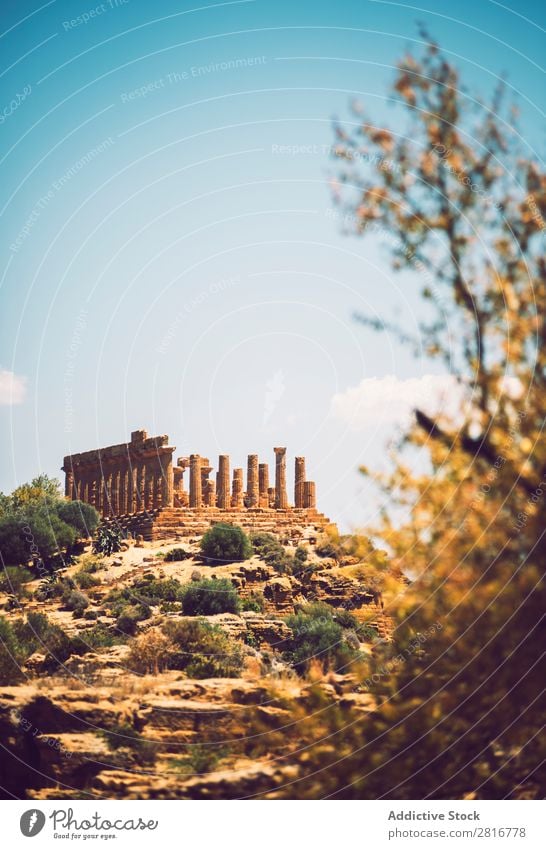 Blick auf das Tal der Tempel in Agrigento, Sizilien, Italien Griechen hellenistisch Stein Ferien & Urlaub & Reisen Sizilianer Wahrzeichen Säule dorisch