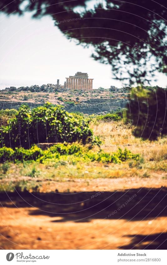 Altgriechischer Tempel in Selinunte, Sizilien, Italien. Detailansicht. Agrigento Griechen hellenistisch Stein Ferien & Urlaub & Reisen Sizilianer Wahrzeichen