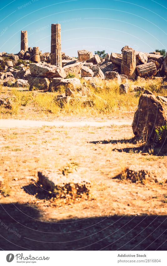 Altgriechischer Tempel in Selinunte, Sizilien, Italien. Detailansicht. Agrigento Griechen hellenistisch Stein Ferien & Urlaub & Reisen Sizilianer Wahrzeichen