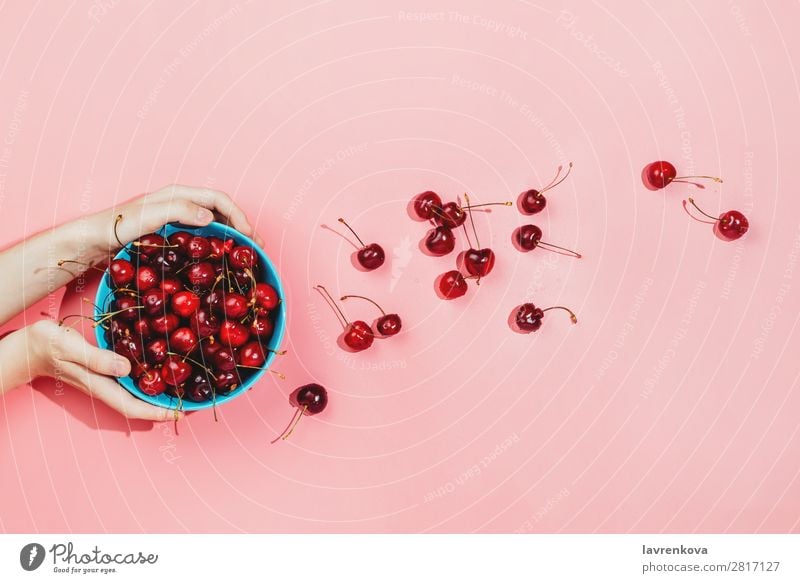 Frauenhände halten eine blaue Schale voller frischer Bio-Kirschen. Hintergrundbild Beeren Farbe Entwurf lecker Dessert Diät Lebensmittel Gesunde Ernährung