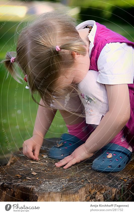 Verzückt feminin Kind Mädchen Schwester Kindheit 1 Mensch 3-8 Jahre T-Shirt Kleid brünett blond Zopf hocken lernen niedlich blau rosa Gefühle Zufriedenheit