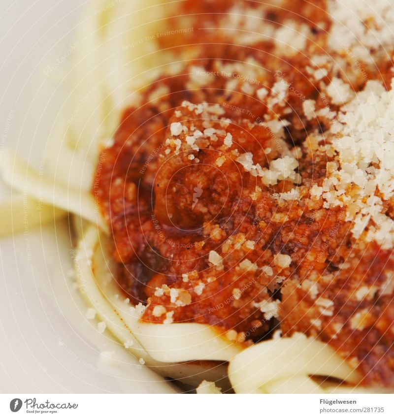 Bolognese Lebensmittel Fleisch Wurstwaren Ernährung Essen Mittagessen Abendessen Büffet Brunch lecker Spaghetti Nudeln Italienisch Italienische Küche Italiener