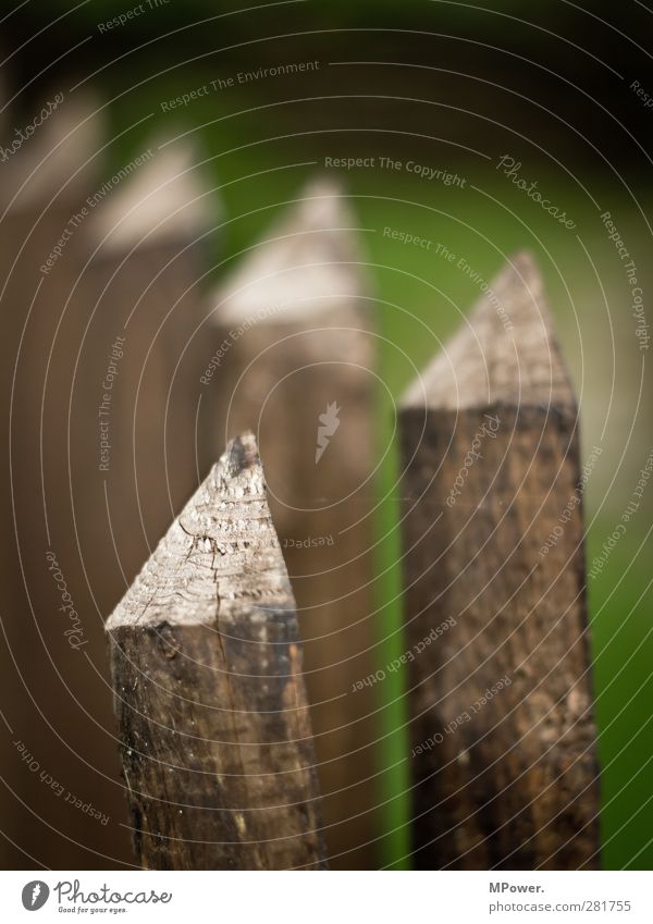 ...wenn ein wichtiger pfeiler plötzlich wegbricht... Garten gelb grün Zaun Holz Spitze Säule Gedeckte Farben Außenaufnahme Nahaufnahme Menschenleer