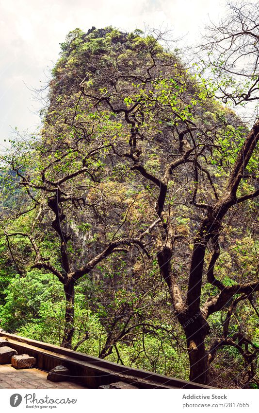 Bich Dong Pagode in Ninh Binh, Vietnam. Trung-Pagode (mittlere Pagode) bich Hoa Schwanz lu tam Kokos Höhle Außenaufnahme Turm Kathedrale Stein Tor Orientalisch