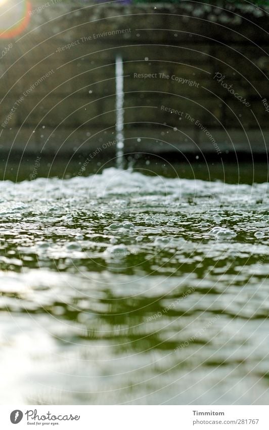 Lebensbrunnen Wasser einfach frisch braun grün Gefühle ruhig Brunnen Blase plätschern fließen Meerestiefe Blendenfleck Schwarzweißfoto Gedeckte Farben