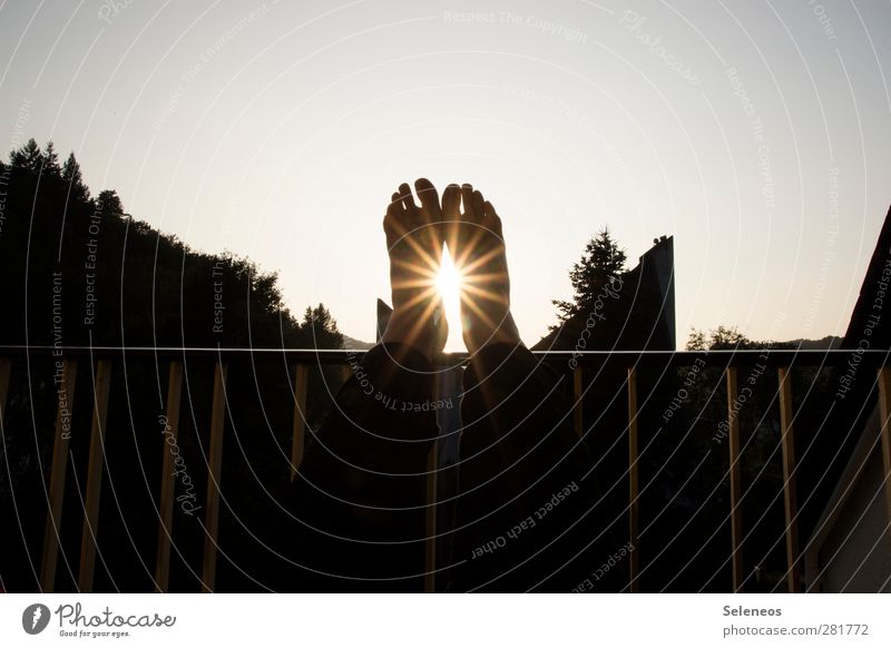 Füßehochtag Wohnung Mensch Fuß 1 Umwelt Natur Himmel Wolkenloser Himmel Horizont Schönes Wetter Pflanze Baum Erholung glänzend genießen leuchten sitzen Balkon