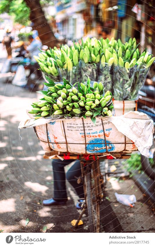 Hanoi, Vietnam - 2. Mai 2015: Vietnamesische Straßenmarktfrau verkauft Asien asiatisch Gleichgewicht Korb Fahrrad Business tragen Kategorie Großstadt Gewerbe