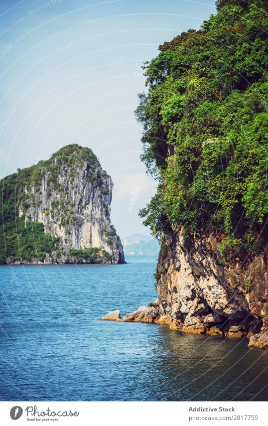 Malerische Meereslandschaft. Ha Long Bay, Vietnam Halong Bay Bucht Asien Insel Wahrzeichen Felsen blau asiatisch Kreuzfahrt grün Baum Süden Vietnamesen