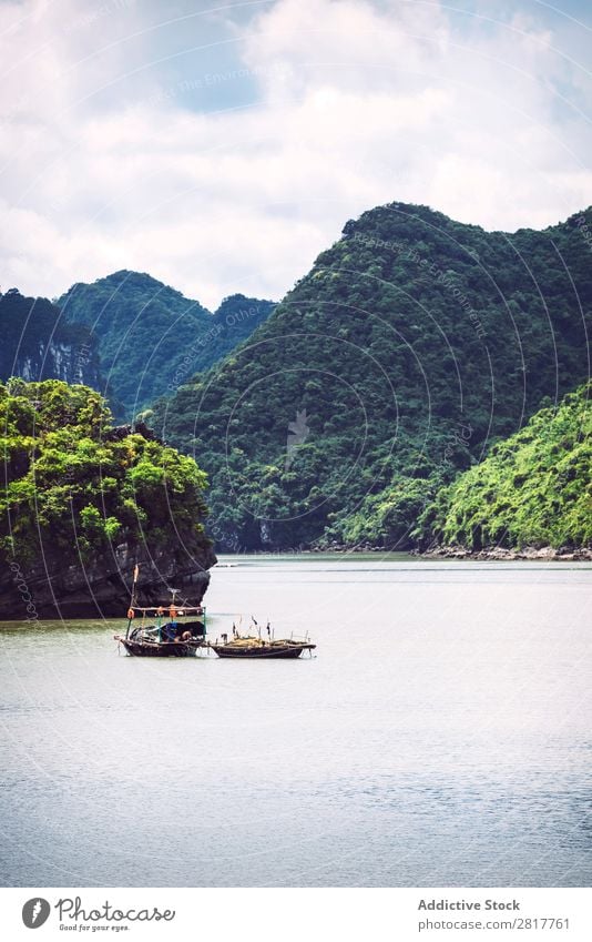 Malerische Meereslandschaft. Ha Long Bay, Vietnam Halong Bay Bucht Asien Insel Wahrzeichen blau asiatisch Kreuzfahrt grün Baum Süden Vietnamesen Wasserfahrzeug