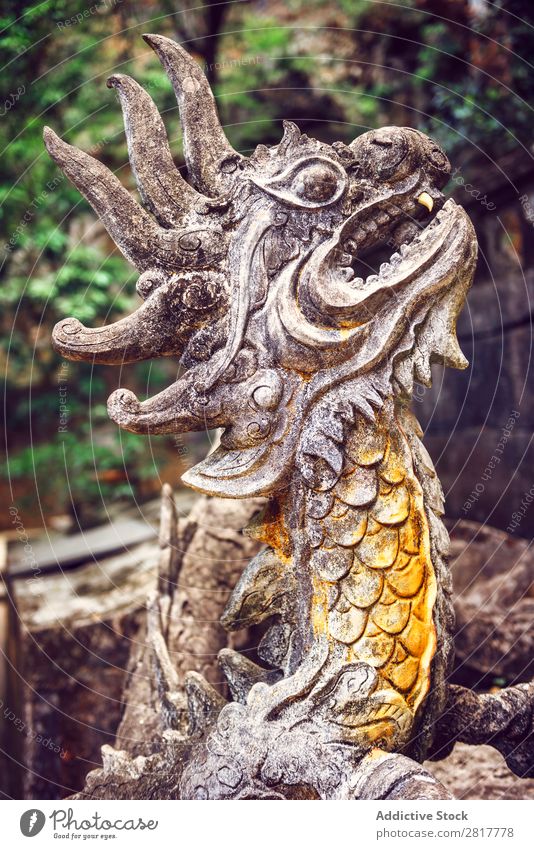 Stein-Drache im Tempel Vietnam Abenteuer antik Architektur Kunst Asien asiatisch Gebäude Schnitzereien Handwerk Kultur Kulturen Dekoration & Verzierung Osten