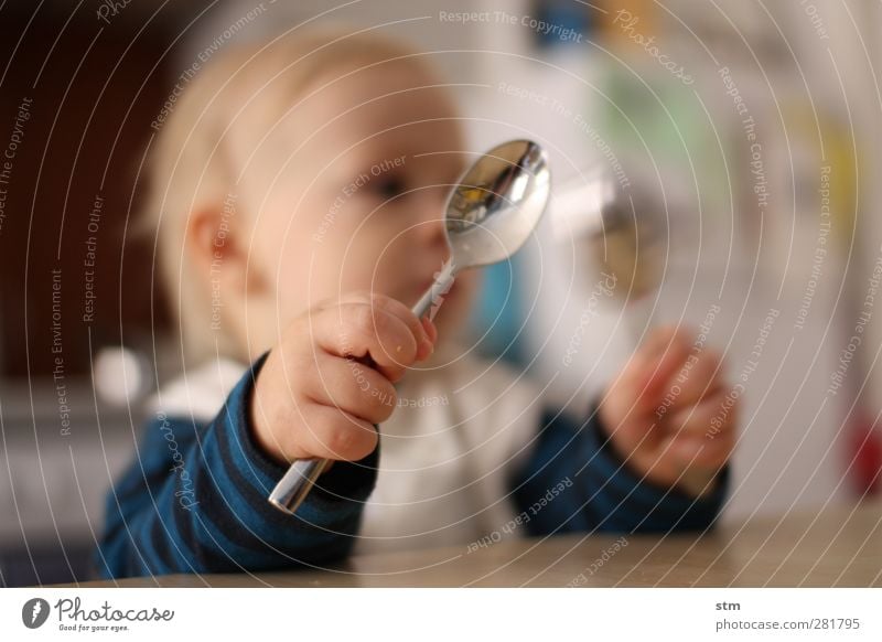 Kleinkind wartet mit Löffel in der Hand auf sein Essen Ernährung Besteck Häusliches Leben Wohnung Kind Baby Kindheit Haut Finger Faust 1 Mensch 1-3 Jahre