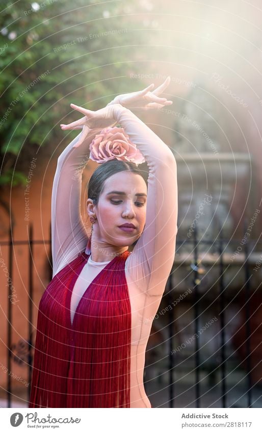 Flamenco-Tänzerin in den Straßen von Sevilla Flamencotänzer Tanzen Kostüm typisch Spanien Spanisch Andalusia Frau Jugendliche brünett Blume rassisch Model