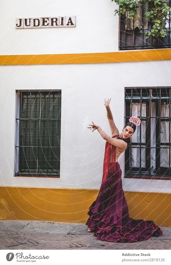 Flamenco-Tänzerin in den Straßen von Sevilla Flamencotänzer Tanzen Kostüm typisch Spanien Spanisch Andalusia Frau Jugendliche brünett Blume rassisch Model