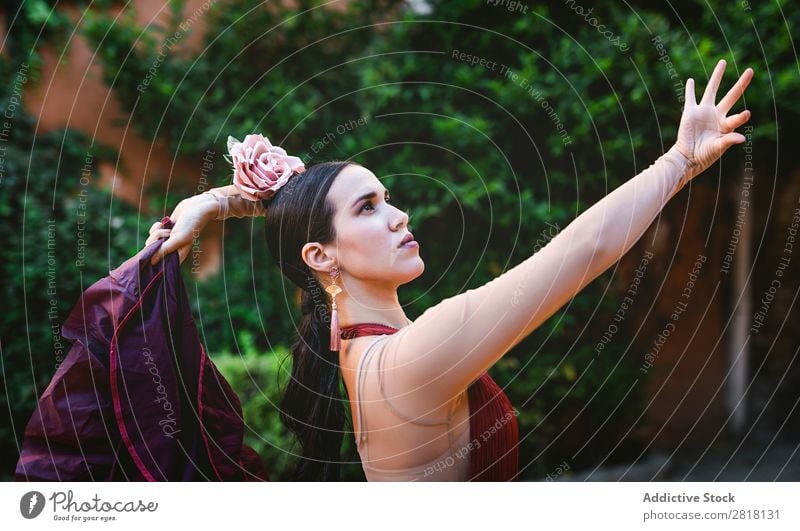 Flamenco-Tänzerin in den Straßen von Sevilla Flamencotänzer Tanzen Kostüm typisch Spanien Spanisch Andalusia Frau Jugendliche brünett Blume rassisch Model