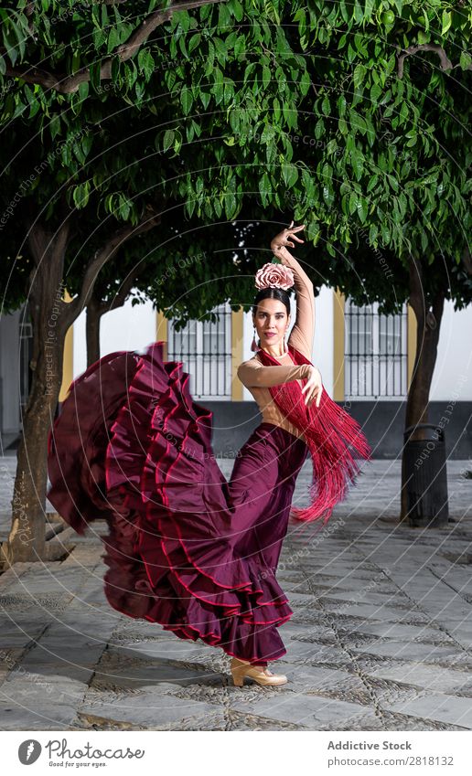 Flamenco-Tänzerin in den Straßen von Sevilla Flamencotänzer Tanzen Kostüm typisch Spanien Spanisch Andalusia Frau Jugendliche brünett Blume rassisch Model