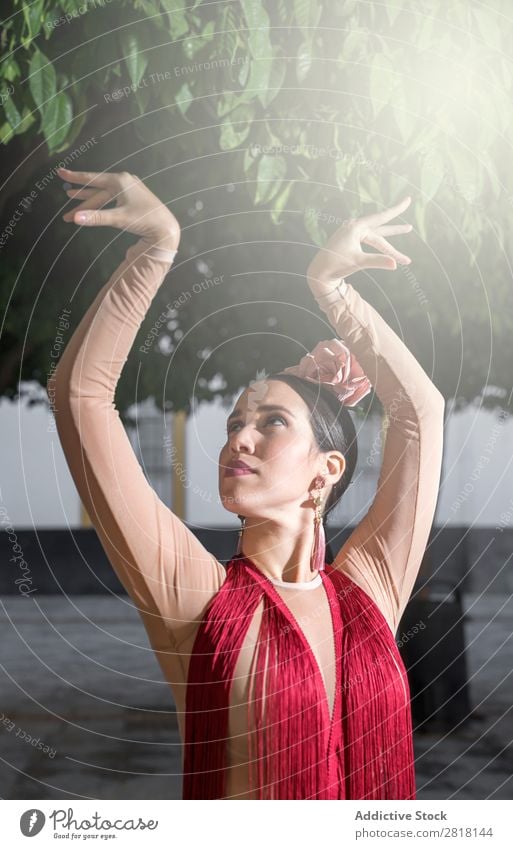 Flamenco-Tänzerin in den Straßen von Sevilla Flamencotänzer Tanzen Kostüm typisch Spanien Spanisch Andalusia Frau Jugendliche brünett Blume rassisch Model