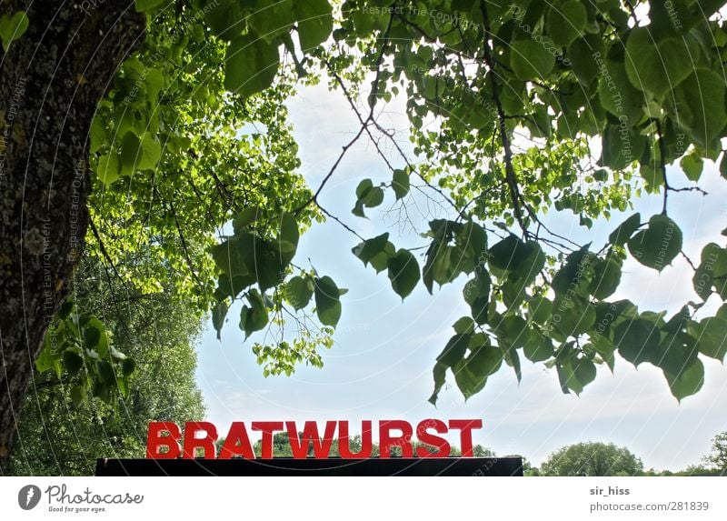 Bratwurst Ernährung Fastfood Imbiss Kiosk Verkaufswagen Grill Ausflug Wiese Baumstamm Blatt Tourismus Sommerurlaub Entertainment Veranstaltung Jahrmarkt