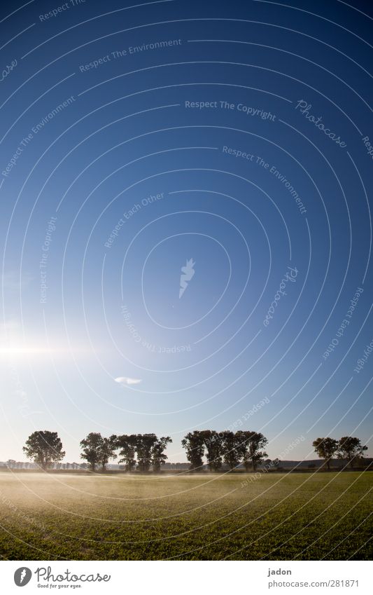 die sonne kommt. harmonisch ruhig Natur Landschaft Erde Himmel Horizont Sonne Sonnenaufgang Sonnenuntergang Herbst Nebel Feld Unendlichkeit blau Warmherzigkeit