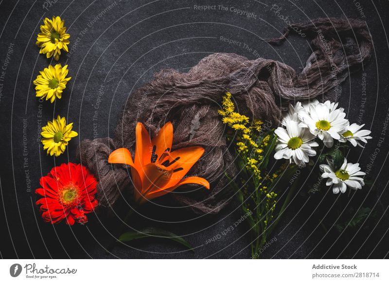 Blumenmuster mit mehreren bunten Blüten Mischung Hintergrundbild natürlich Liebe Gestell Nelken Margaritas Lilien Blütenblatt Farbe weiß Holz Frühling