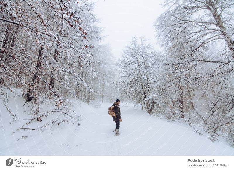 Tourist mit Rucksack im verschneiten Wald Natur Winter Schnee Reisender laufen Straße kalt Landschaft weiß Frost Baum Jahreszeiten Szene schön Wetter Tag Eis