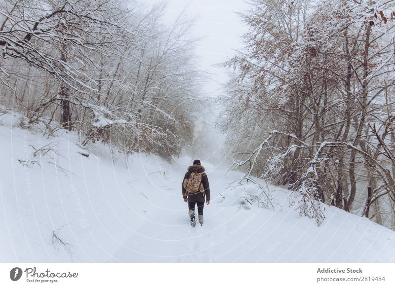 Tourist mit Rucksack im verschneiten Wald Natur Winter Schnee Reisender laufen Straße kalt Landschaft weiß Frost Baum Jahreszeiten Szene schön Wetter Tag Eis