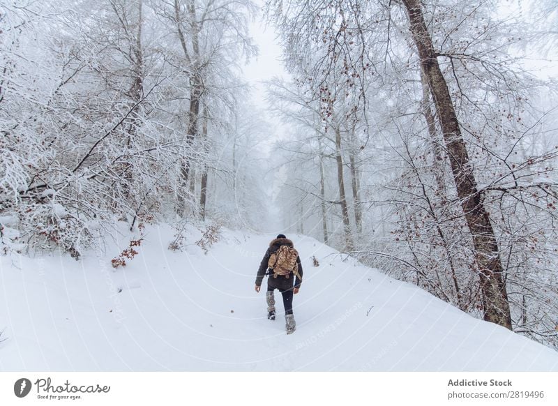 Tourist mit Rucksack im verschneiten Wald Natur Winter Schnee Reisender laufen Straße kalt Landschaft weiß Frost Baum Jahreszeiten Szene schön Wetter Tag Eis