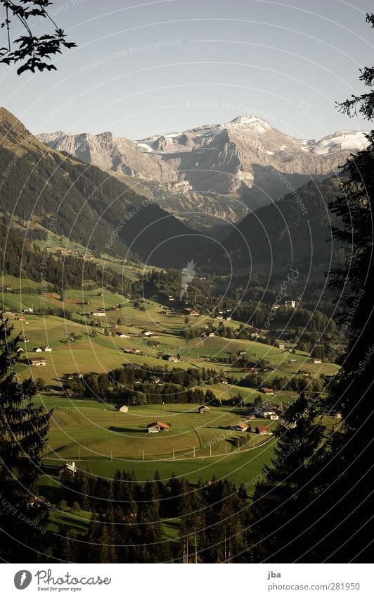 Abendlicht Wohlgefühl Erholung ruhig Tourismus Freiheit Sommer Berge u. Gebirge wandern Natur Landschaft Schönes Wetter Baum Tanne Felsen Alpen wildhorn Gipfel