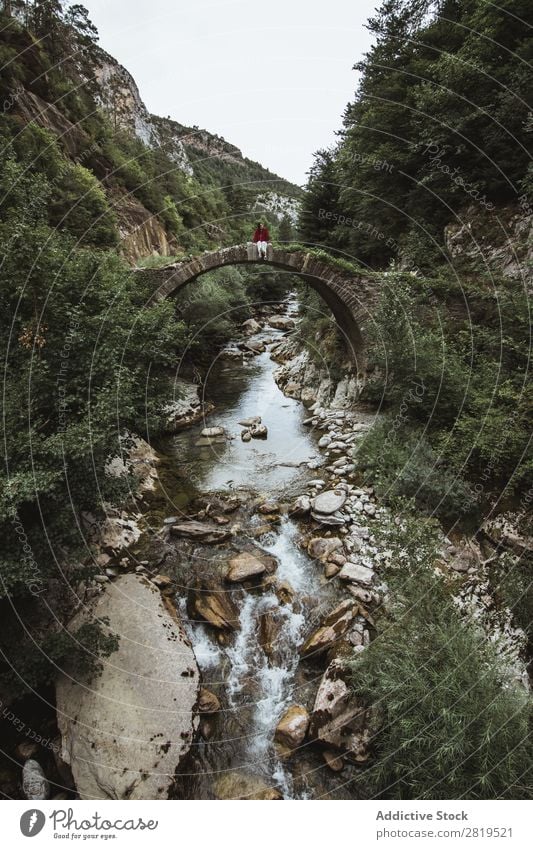 Frau sitzt auf der alten Brücke Natur Wald Ferien & Urlaub & Reisen Außenaufnahme Mensch Wasser schön Landschaft Stein Park Beautyfotografie Lifestyle Fluss