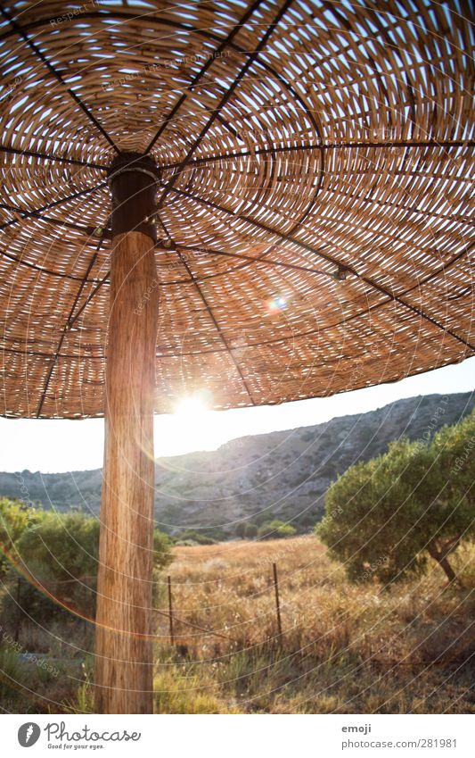 Rhodos Umwelt Natur Landschaft Sonne Sommer Schönes Wetter heiß hell Wärme Sonnenschirm Ferien & Urlaub & Reisen Farbfoto Außenaufnahme Menschenleer Tag Licht