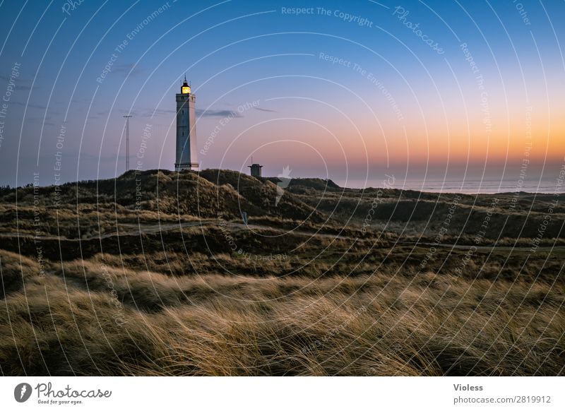 Blavands HukBlavands II Natur Landschaft Küste Strand Nordsee Meer atmen Erholung Dänemark Blavands Fyr Fyrkat Dünengras Stranddüne Turm Leuchtturm Abend