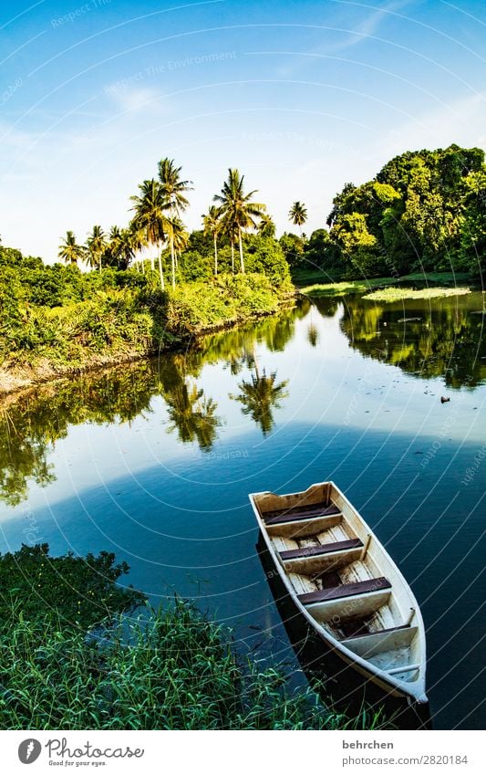 wenn die zeit still steht Sonnenlicht Kontrast Licht Tag Außenaufnahme Farbfoto Umweltschutz Idylle Reflexion & Spiegelung Wasserfahrzeug Palme ruhig