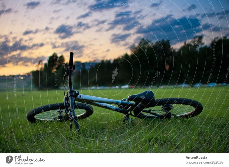 Fahrrad bei Sonnenuntergang Natur Landschaft Himmel Wolkenloser Himmel Sonnenaufgang Schönes Wetter Park Fahrradfahren sportlich blau gelb grün Farbfoto