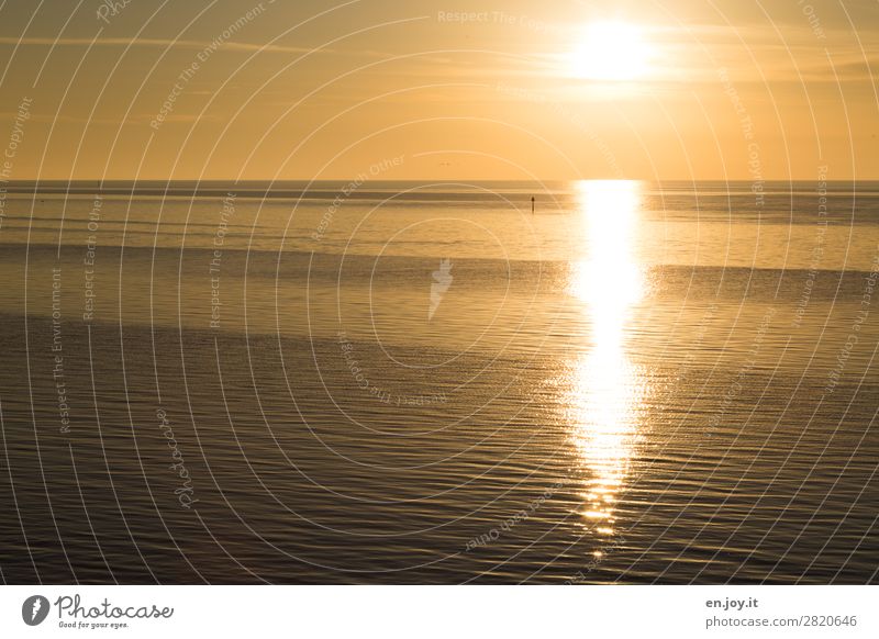 Floridasun Ferien & Urlaub & Reisen Sommer Sommerurlaub Sonne Meer Wellen Wolkenloser Himmel Horizont Sonnenaufgang Sonnenuntergang Sonnenlicht Klima