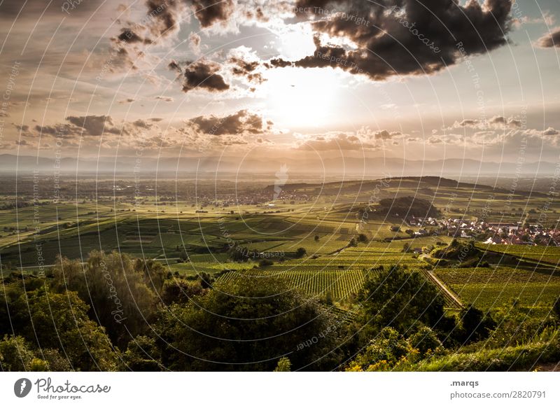 Kaiserstuhl Landschaft Himmel Wolken Sommer Schönes Wetter Pflanze Nutzpflanze Hügel Wein Weinbau Erholung Stimmung Natur Farbfoto Außenaufnahme Menschenleer