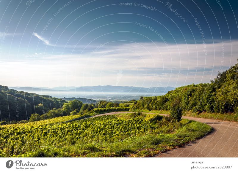 Kaiserstuhl Natur Landschaft Himmel Sommer Schönes Wetter Aussicht Wege & Pfade Erholung Landwirtschaft Farbfoto Außenaufnahme Menschenleer Textfreiraum oben