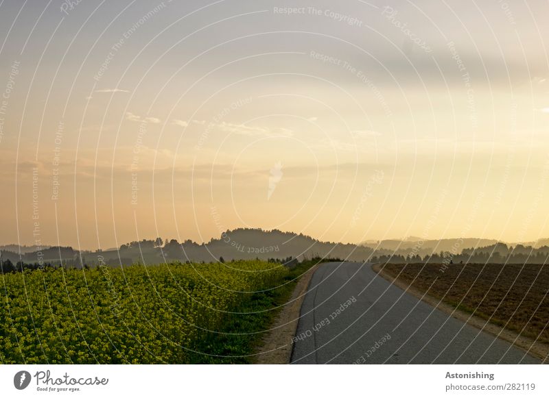 die Straße in den Abend Umwelt Natur Landschaft Pflanze Luft Himmel Wolken Sonne Sonnenaufgang Sonnenuntergang Herbst Wetter Schönes Wetter Wärme Blume Gras