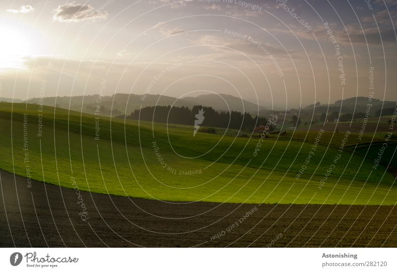 am Abend Umwelt Natur Landschaft Pflanze Erde Luft Himmel Wolken Horizont Sonne Herbst Wetter Schönes Wetter Baum Gras Sträucher Nutzpflanze Wiese Feld Wald