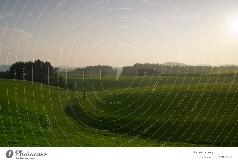 grün Umwelt Natur Landschaft Pflanze Erde Luft Himmel Wolken Horizont Sonne Sonnenaufgang Sonnenuntergang Sonnenlicht Herbst Wetter Schönes Wetter Baum Gras