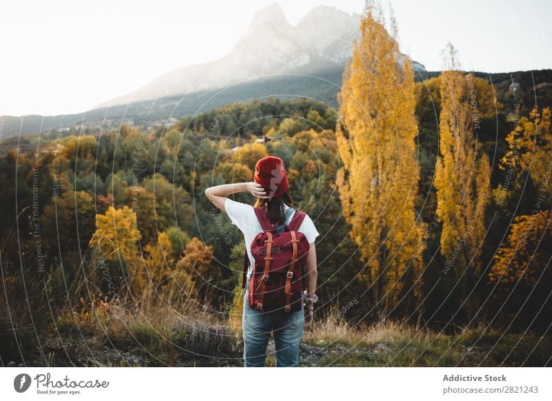 Frau mit Hut in der Natur laufen Jugendliche Mensch Lifestyle Landschaft Freizeit & Hobby Abenteuer Freiheit Jahreszeiten Herbst Baum Aussicht hübsch attraktiv